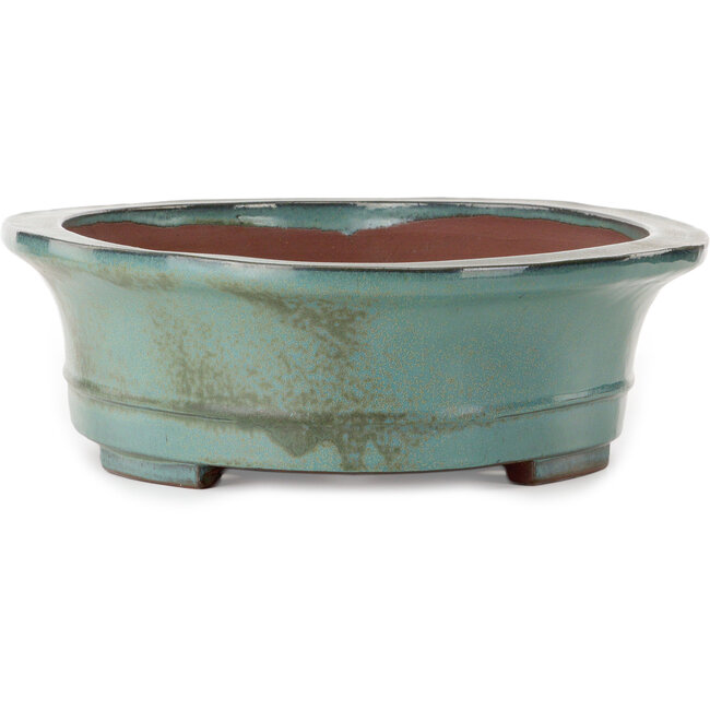 Oval green bonsai pot by Kakuzan - 550 x 407 x 138 mm