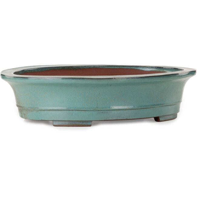 Vaso bonsai ovale verde di Kakuzan - 550 x 407 x 138 mm