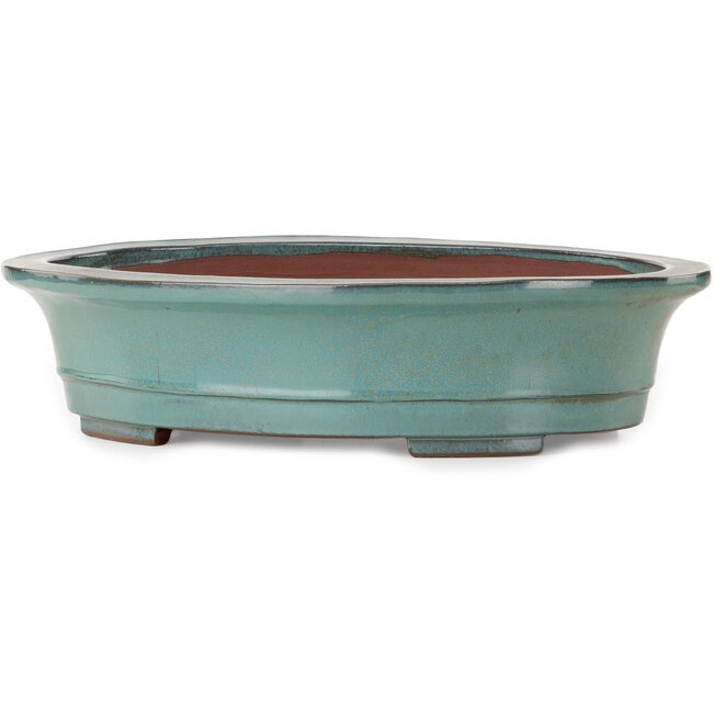 Pot ovale vert pour bonsaï de Kakuzan - 550 x 407 x 138 mm