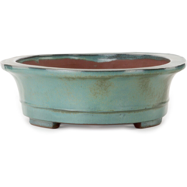 Oval green bonsai pot by Kakuzan - 550 x 407 x 138 mm