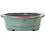 Oval green bonsai pot by Kakuzan - 550 x 407 x 138 mm
