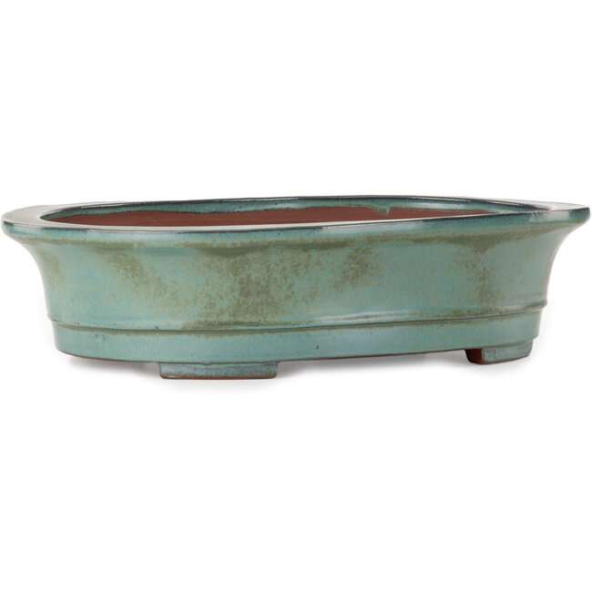 Oval green bonsai pot by Kakuzan - 550 x 407 x 138 mm