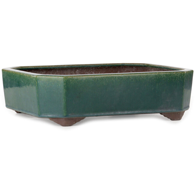 Vaso bonsai rettangolare verde di Yamaaki Toshio (terza generazione) - 432 x 353 x 120 mm