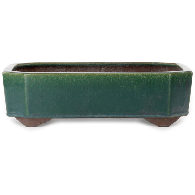 Vaso bonsai rettangolare verde di Yamaaki Toshio (terza generazione) - 432 x 353 x 120 mm
