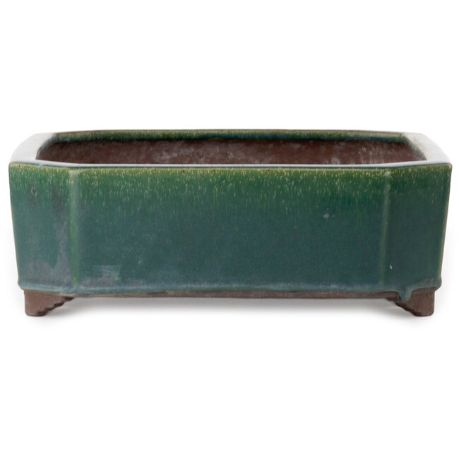 Pot à bonsaï vert rectangulaire de Yamaaki Toshio (troisième génération) - 432 x 353 x 120 mm