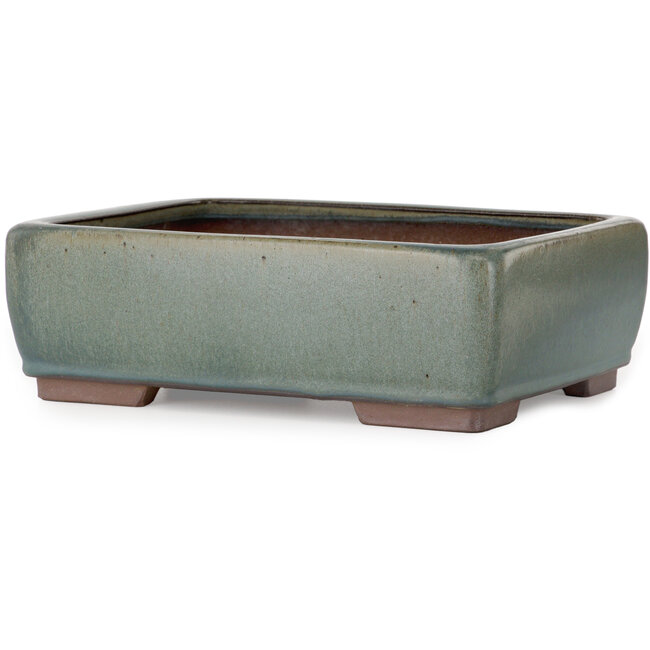 Rectangular green bonsai pot - 314 x 237 x 102 mm