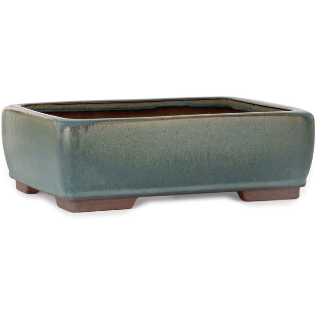 Rechthoekige groene bonsaipot - 314 x 237 x 102 mm