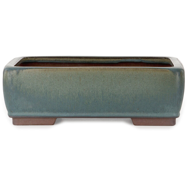 Pot à bonsaï rectangulaire vert - 314 x 237 x 102 mm