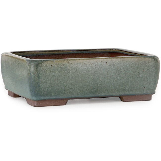 Vaso bonsai rettangolare verde - 314 x 237 x 102 mm