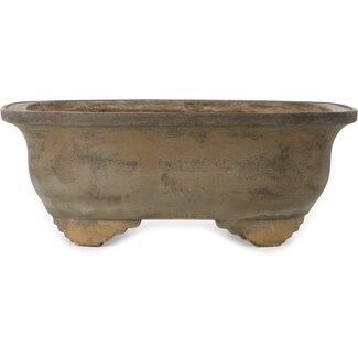 Izumiya - Zenigo (Matsushita Masuo) Vaso per bonsai mokko non smaltato da 520 mm di Izumiya (Zenigo), Giappone