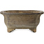 Mokko unglazed bonsai pot by Izumiya (Zenigo) - 520 x 425 x 190 mm