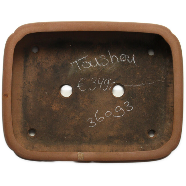 Maceta ovalada sin esmaltar para bonsái de Tosho - 407 x 315 x 105 mm