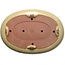 Pot à bonsaï ovale beige par Seizan (Reihou, Kataoka Katsushi, maître four Seizan) - 565 x 395 x 90 mm