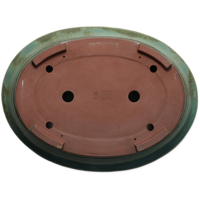 Ovale groene bonsaipot van Kakuzan - 550 x 407 x 138 mm