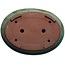 Vaso bonsai ovale verde di Kakuzan - 550 x 407 x 138 mm