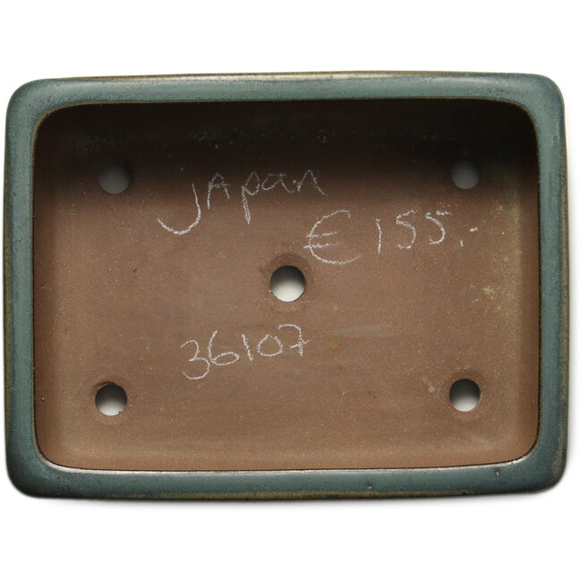 Pot à bonsaï rectangulaire vert - 314 x 237 x 102 mm