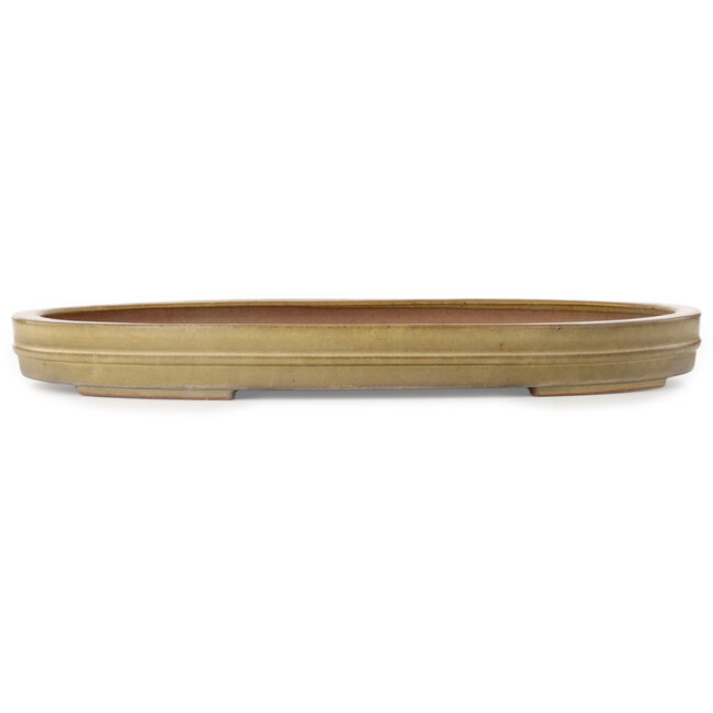 Ovale beige bonsaipot van Seizan (Reihou, Kataoka Katsushi, meester Seizan oven) - 562 x 402 x 52 mm