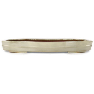  Kakuzan Maceta ovalada beige para bonsái de 540 mm de Kakuzan, Tokoname, Japón