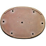 Oval beige bonsai pot by Seizan (Reihou, Kataoka Katsushi, master Seizan kiln) - 562 x 402 x 52 mm