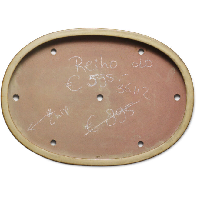 Ovale beige bonsaipot van Seizan (Reihou, Kataoka Katsushi, meester Seizan oven) - 562 x 402 x 52 mm