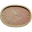 Oval beige bonsai pot by Seizan (Reihou, Kataoka Katsushi, master Seizan kiln) - 562 x 402 x 52 mm