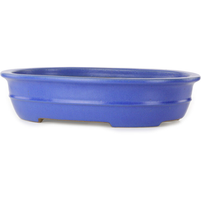 Pot à bonsaï ovale bleu par Seizan (Reihou, Kataoka Katsushi, maître four Seizan) - 462 x 355 x 108 mm