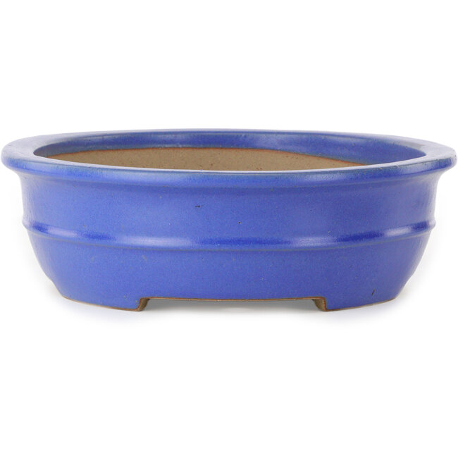 Vaso bonsai ovale blu di Seizan (Reihou, Kataoka Katsushi, forno del maestro Seizan) - 462 x 355 x 108 mm
