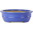 Oval blue bonsai pot by Seizan (Reihou, Kataoka Katsushi, master Seizan kiln) - 462 x 355 x 108 mm