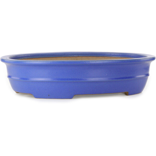 Oval blue bonsai pot by Seizan (Reihou, Kataoka Katsushi, master Seizan kiln) - 462 x 355 x 108 mm