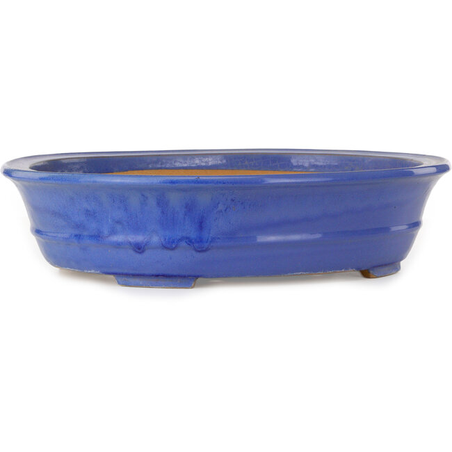 Ovaler blauer Bonsai-Topf – 464 x 382 x 110 mm