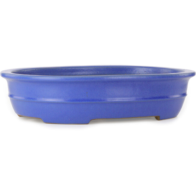Ovale blauwe bonsaipot van Seizan (Reihou, Kataoka Katsushi, meester Seizan oven) - 462 x 355 x 108 mm