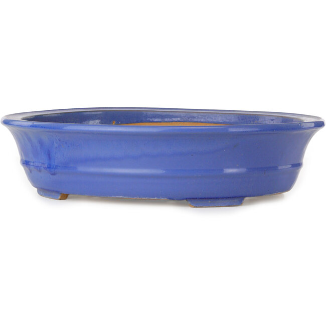 Vaso bonsai ovale blu - 464 x 382 x 110 mm