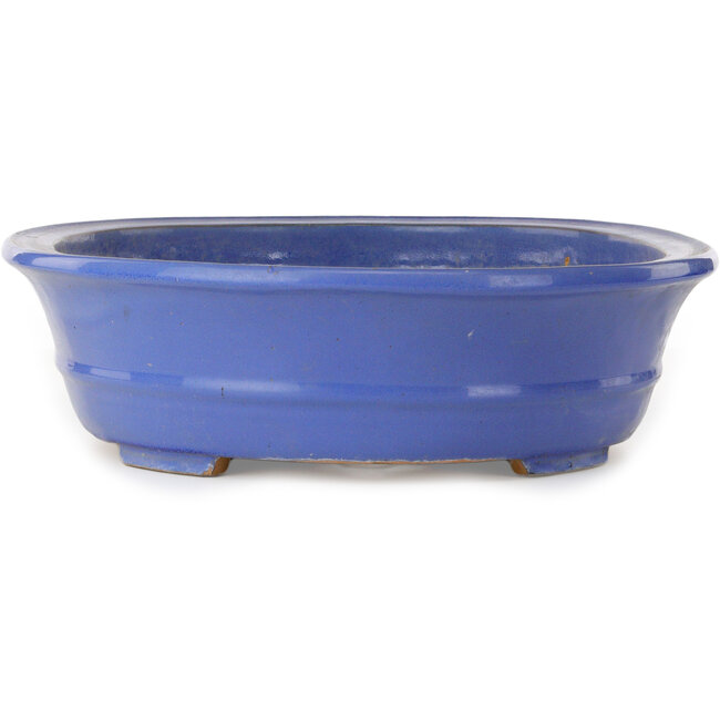 Oval blue bonsai pot - 464 x 382 x 110 mm
