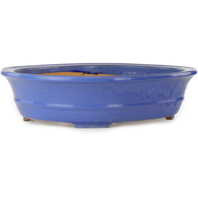 Oval blue bonsai pot - 464 x 382 x 110 mm