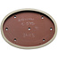 Oval beige bonsai pot by Kakuzan - 545 x 400 x 68 mm