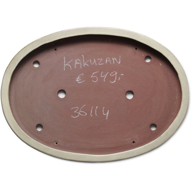 Maceta ovalada beige para bonsái de Kakuzan - 540 x 395 x 63 mm