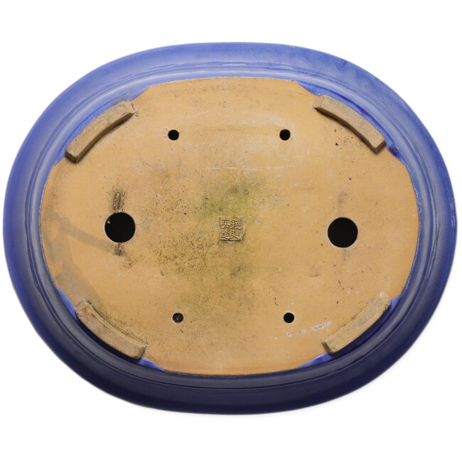 Maceta ovalada azul para bonsái - 464 x 382 x 110 mm