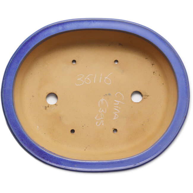Maceta ovalada azul para bonsái - 464 x 382 x 110 mm