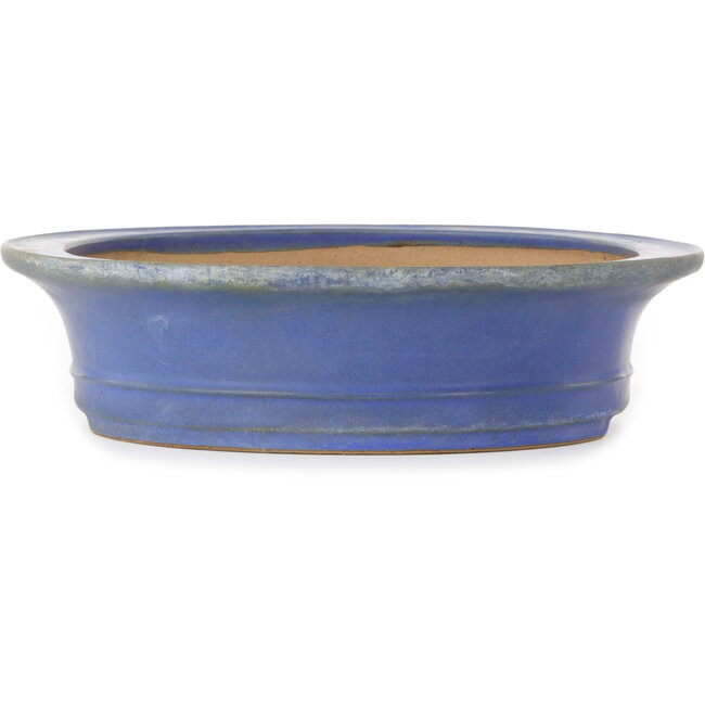 Vaso bonsai ovale blu di Seizan (Reihou, Kataoka Katsushi, forno del maestro Seizan) - 432 x 368 x 95 mm