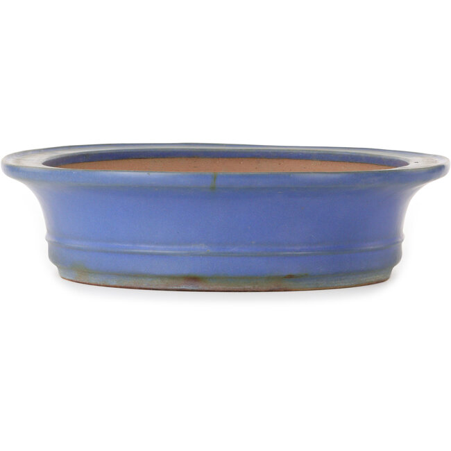 Oval blue bonsai pot by Seizan (Reihou, Kataoka Katsushi, master Seizan kiln) - 432 x 376 x 95 mm
