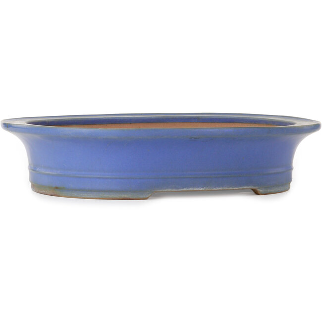 Maceta ovalada para bonsái azul de Seizan (Reihou, Kataoka Katsushi, maestro del horno Seizan) - 432 x 376 x 95 mm