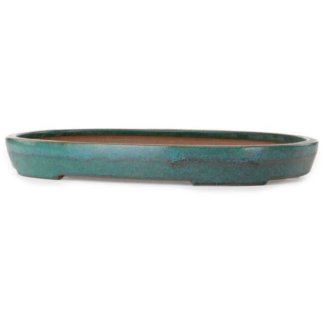 Oval green bonsai pot by Seizan (Reihou, Kataoka Katsushi, master Seizan kiln) - 525 x 370 x 63 mm