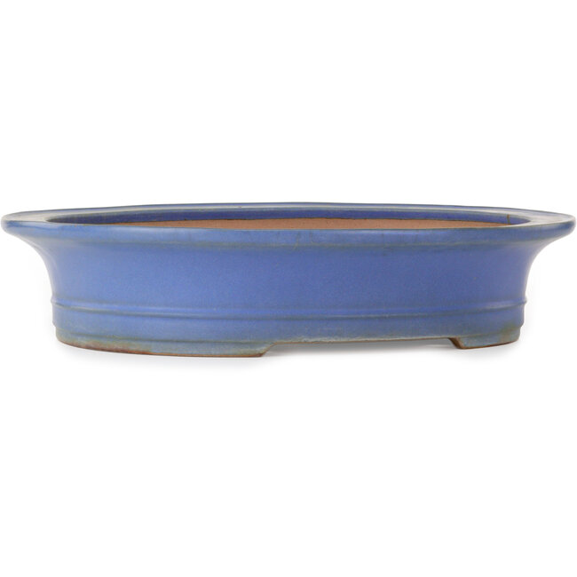 Oval blue bonsai pot by Seizan (Reihou, Kataoka Katsushi, master Seizan kiln) - 432 x 376 x 95 mm