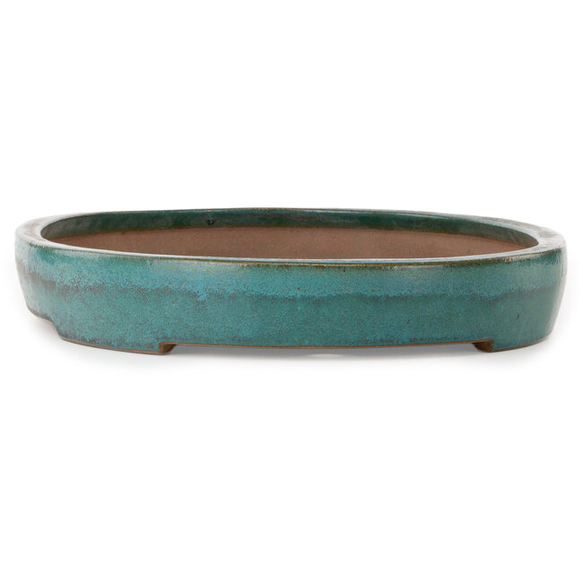 Oval green bonsai pot by Seizan (Reihou, Kataoka Katsushi, master Seizan kiln) - 525 x 370 x 63 mm