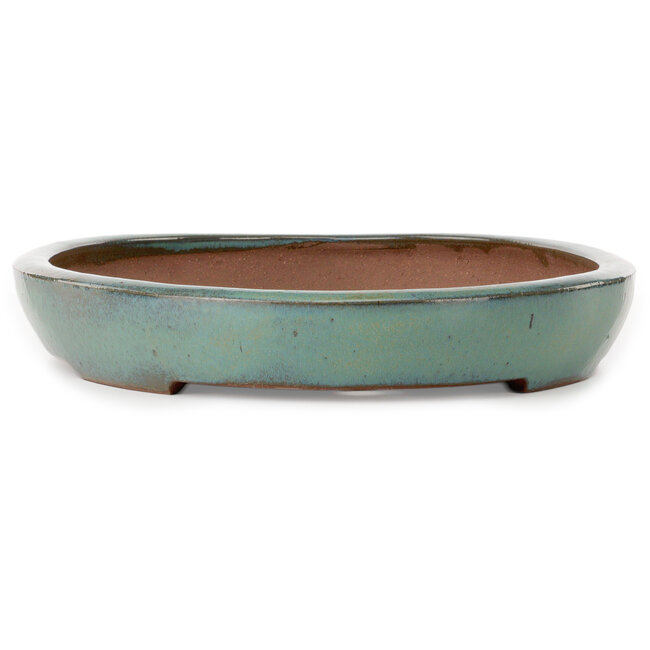Oval green bonsai pot by Kakuzan - 550 x 392 x 65 mm