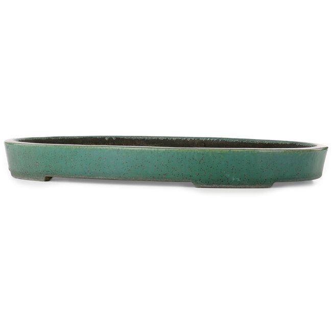 Pot ovale vert pour bonsaï de Koyou - 640 x 425 x 70 mm