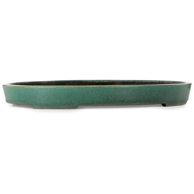 Pot ovale vert pour bonsaï de Koyou - 640 x 425 x 70 mm