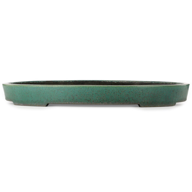 Pot ovale vert pour bonsaï de Koyou - 640 x 425 x 70 mm