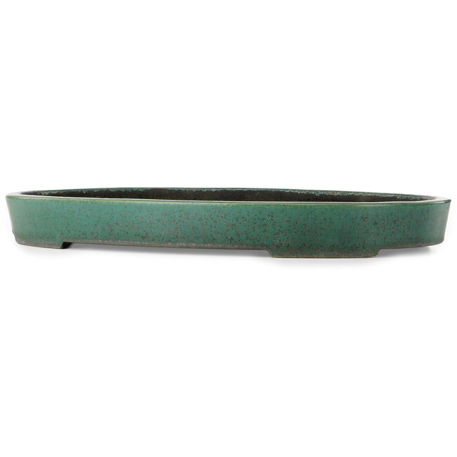 Pot ovale vert pour bonsaï de Koyou - 640 x 425 x 70 mm