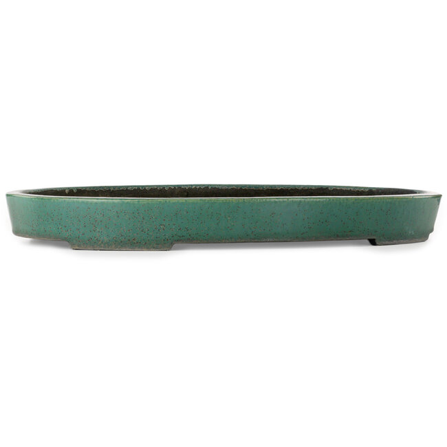 Pot ovale vert pour bonsaï de Koyou - 640 x 425 x 70 mm
